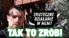 skuteczne działanie w mlm grafika