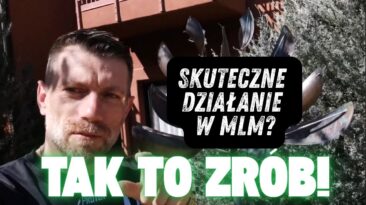 skuteczne działanie w mlm grafika